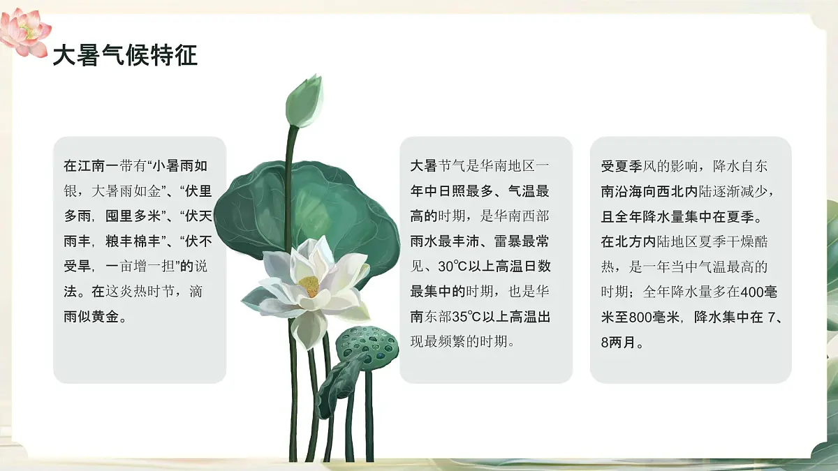 绿色小清新大暑节气介绍 课件第6页