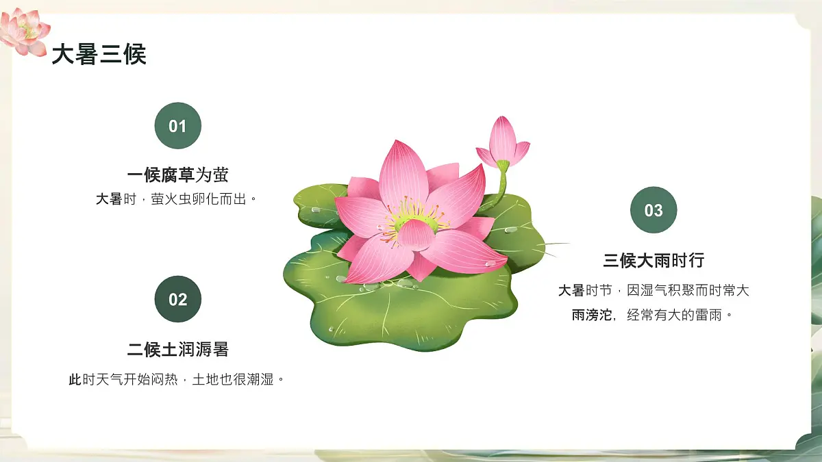 绿色小清新大暑节气介绍 课件第7页