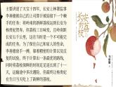 【開學第一課】小學開學班會《像運荔枝一樣開啟新學期》課件+教案+音視頻素材