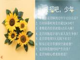 《我的暑期“心”計劃》一一通用心理課程資源包，內(nèi)含課件和教案，打開即用
