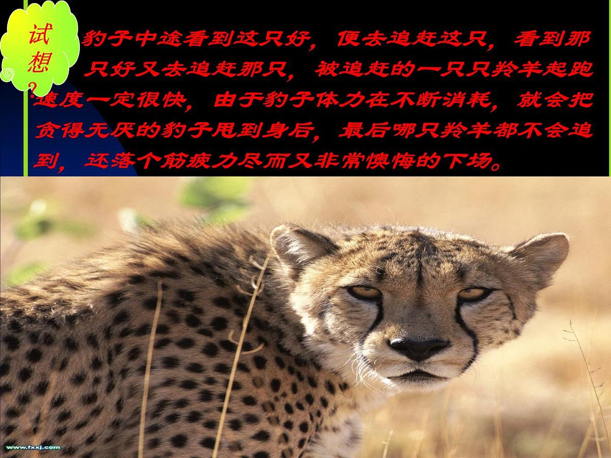 目标第6页