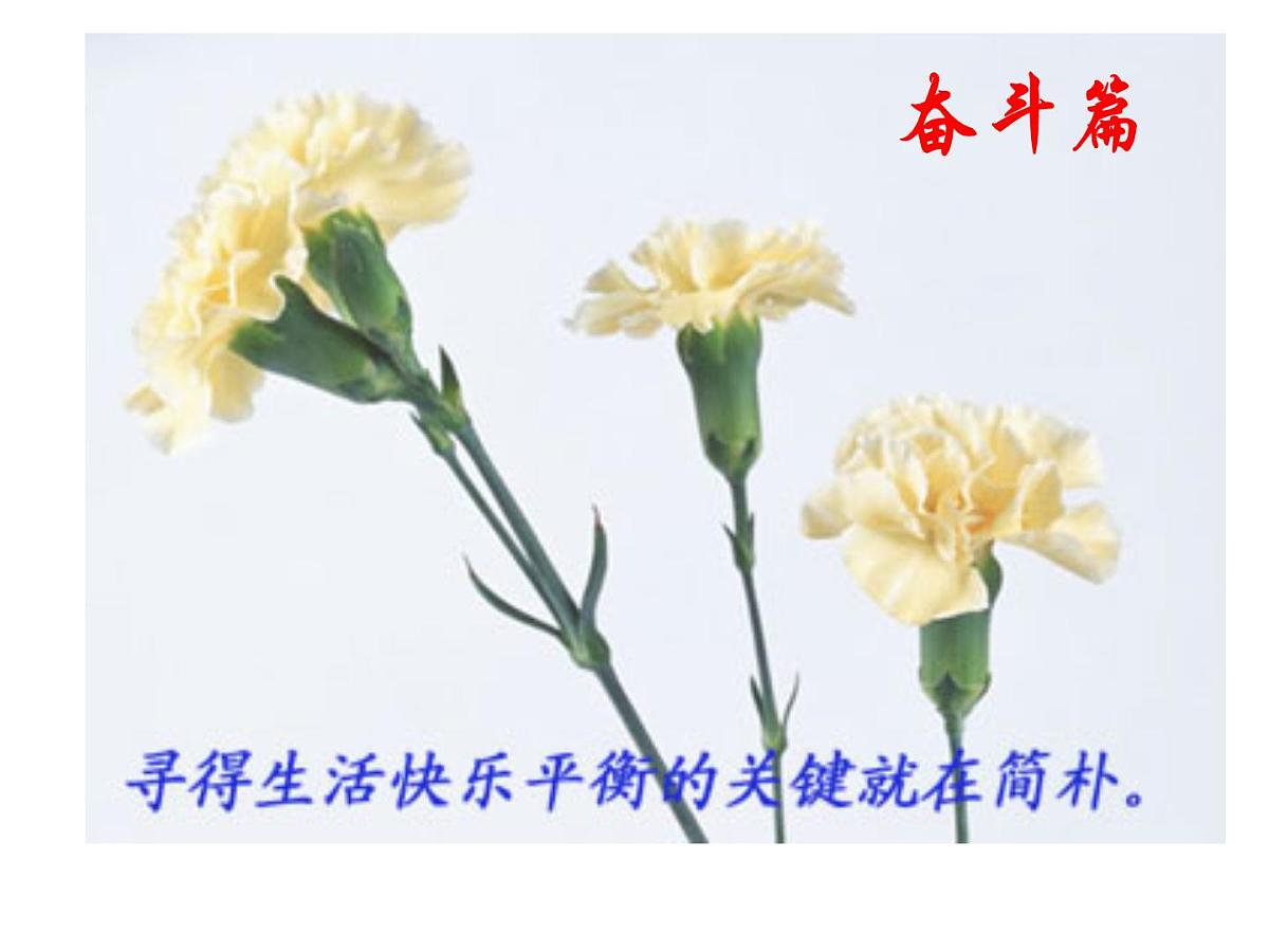 奋斗篇第2页