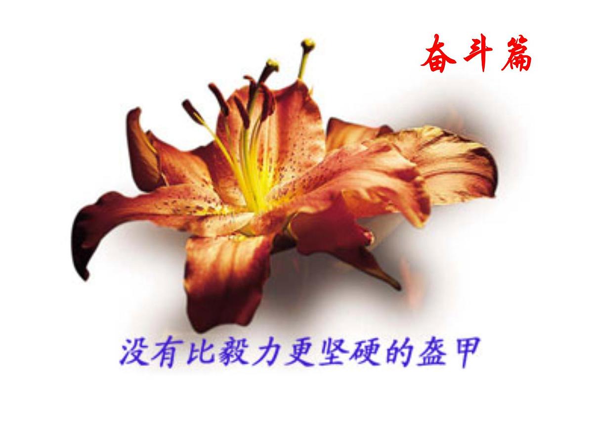奋斗篇第3页