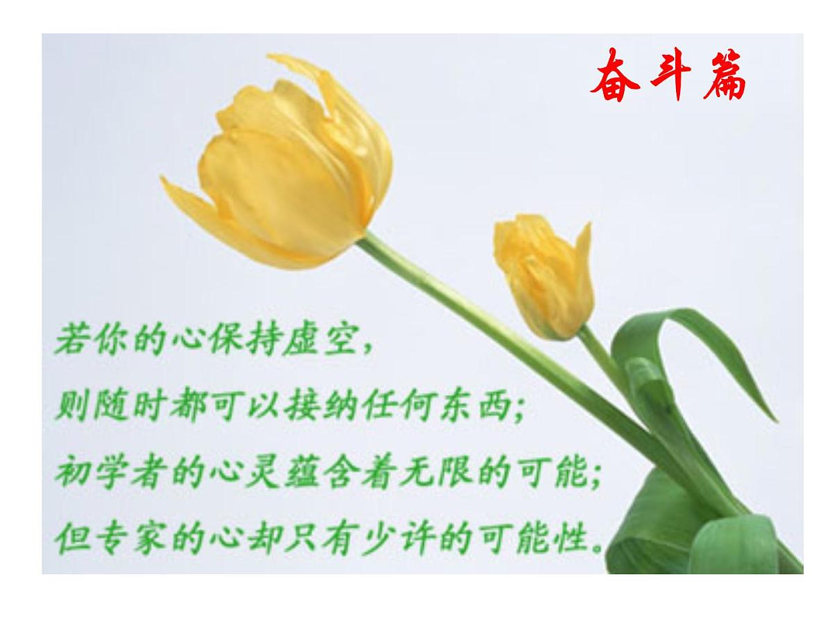 奋斗篇第4页