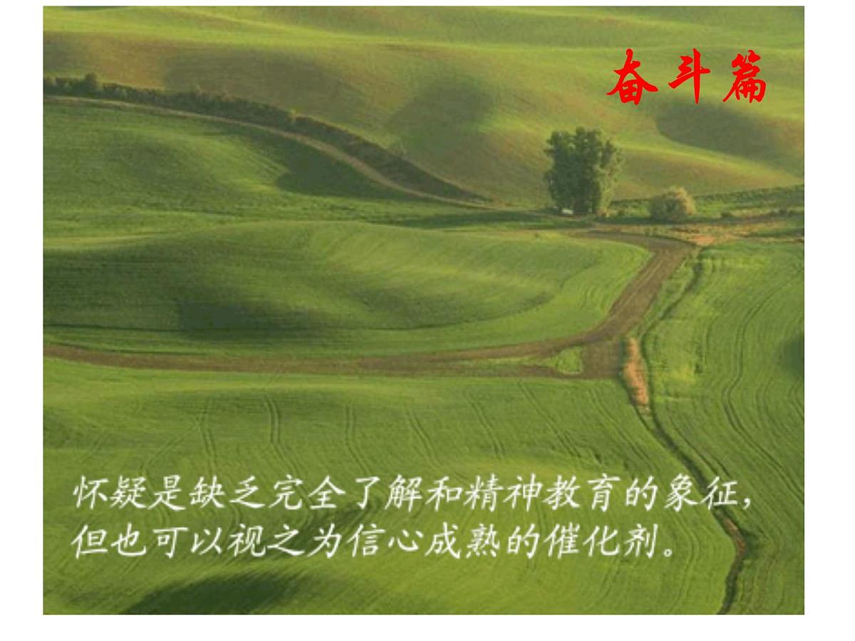 奋斗篇第5页