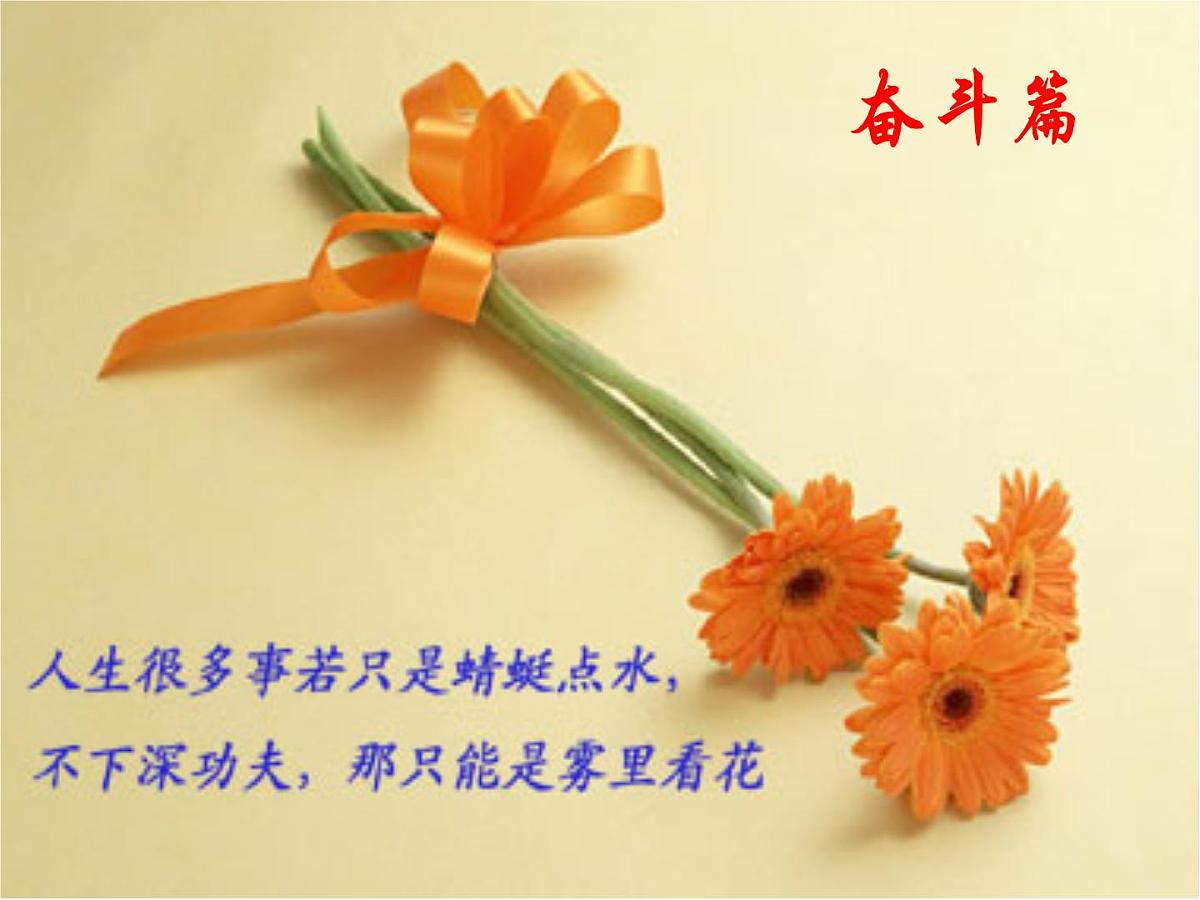 奋斗篇第6页