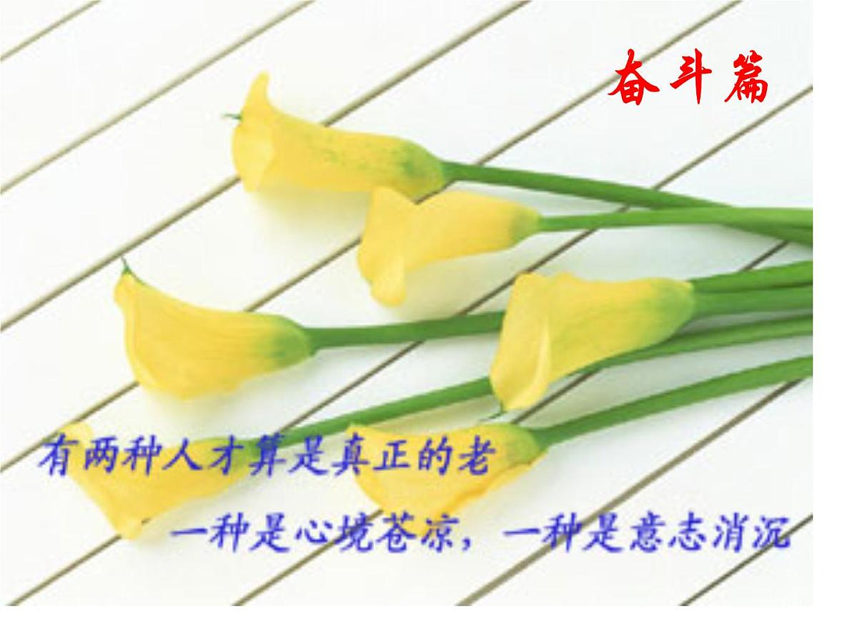 奋斗篇第7页