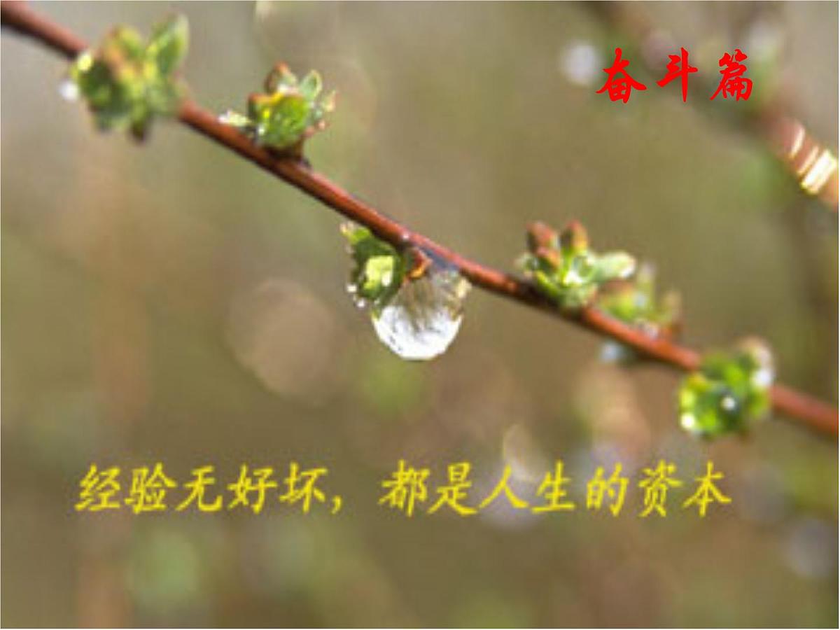 奋斗篇第8页