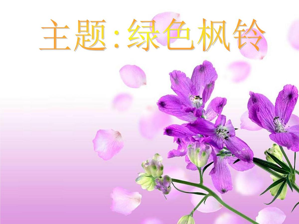 主题班会绿色枫铃第1页