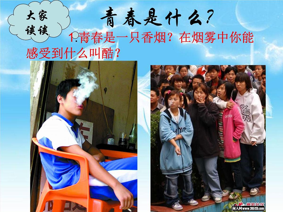 主题班会绿色枫铃第3页