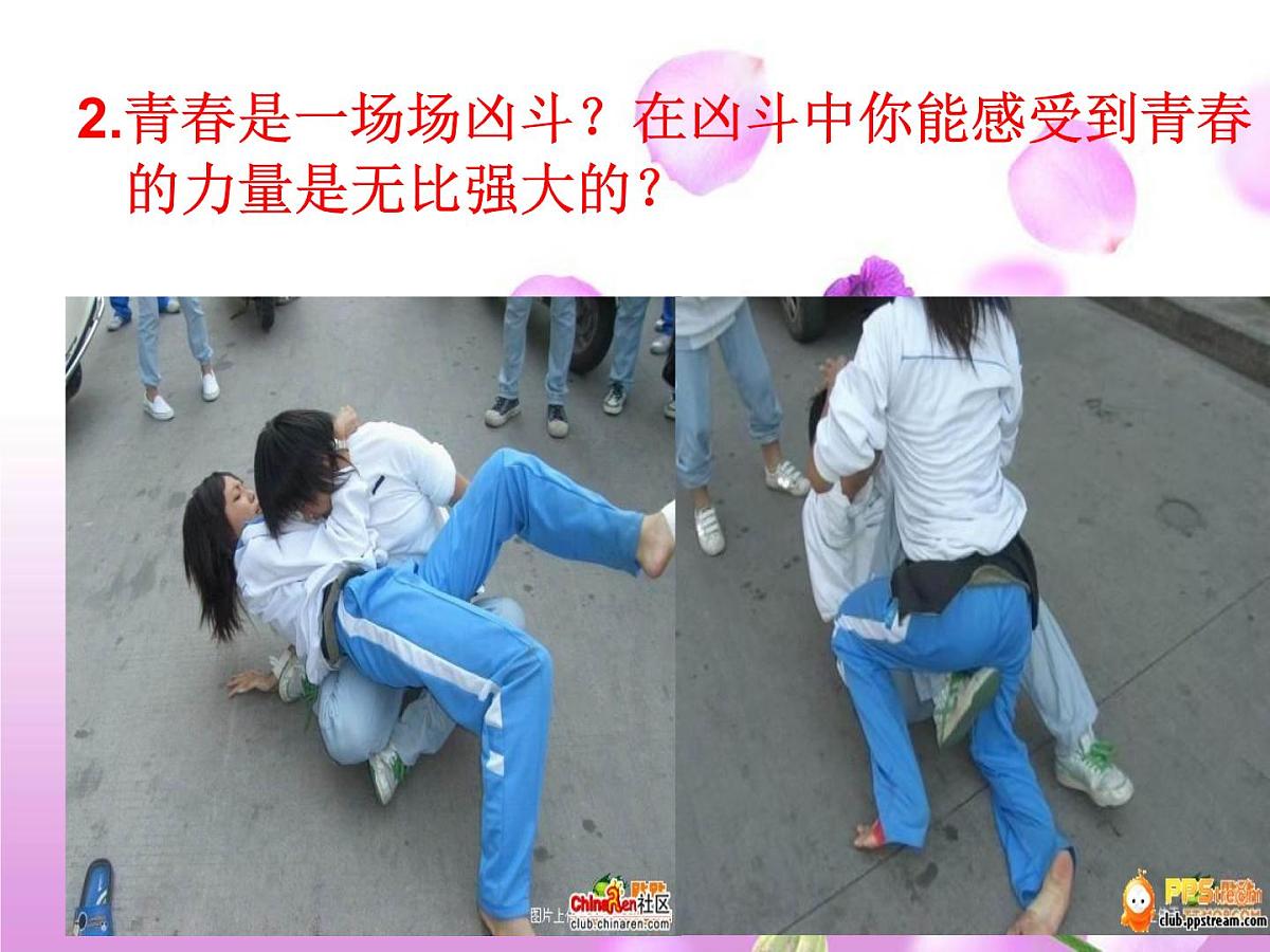 主题班会绿色枫铃第4页