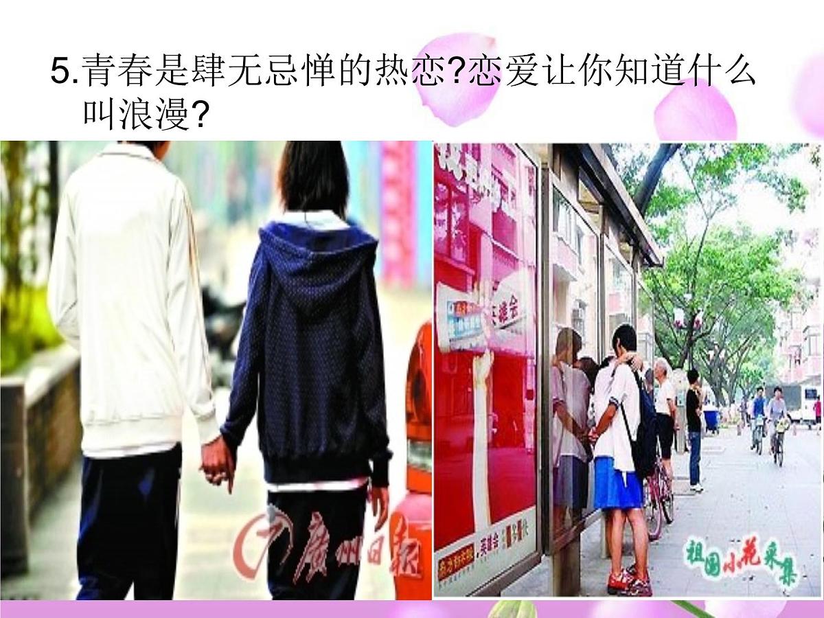主题班会绿色枫铃第7页