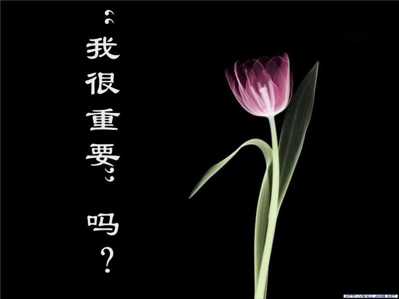 主题班会：认识自我05