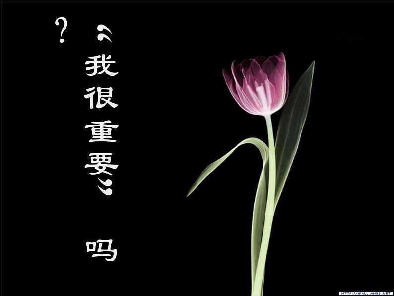 主题班会：认识自我05