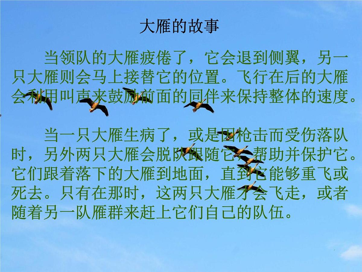 主题班会课件《在集体中成长》第4页