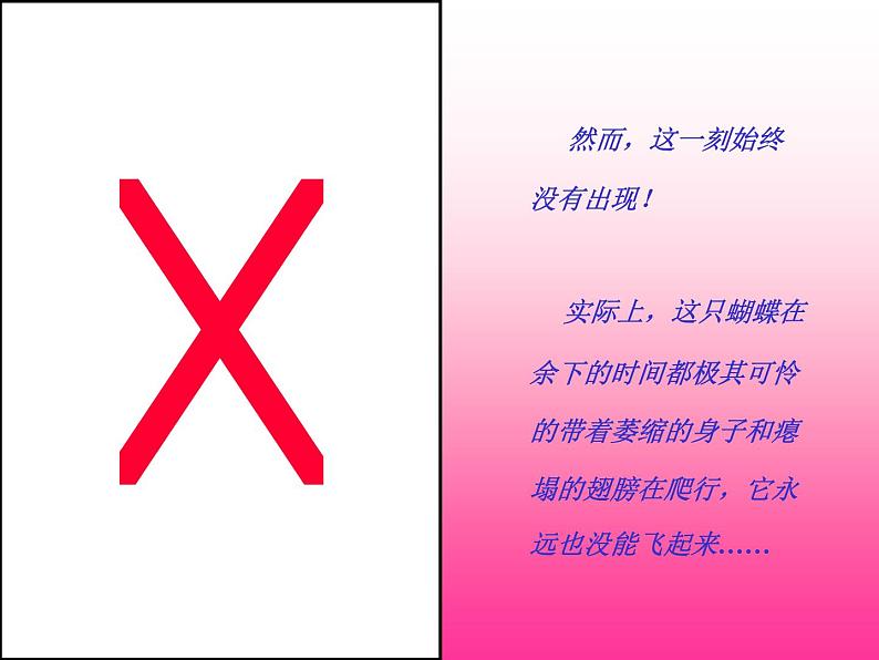 主题班会：蝴蝶启示06