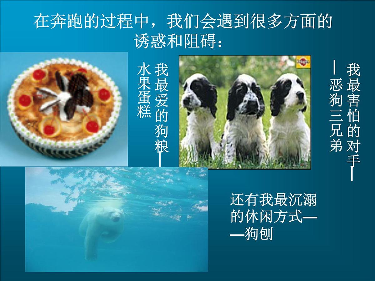 学习当奋斗-班会课课件第6页
