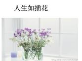 主题班会：插花人生PPT课件