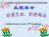 （主题班会）珍爱生命，拒绝毒品