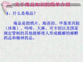 （主题班会）珍爱生命，拒绝毒品
