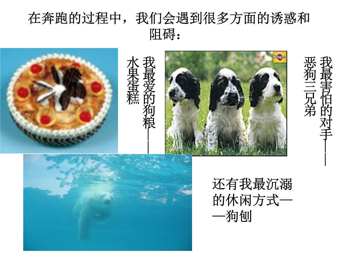 主题班会：高三向目标奔跑第4页