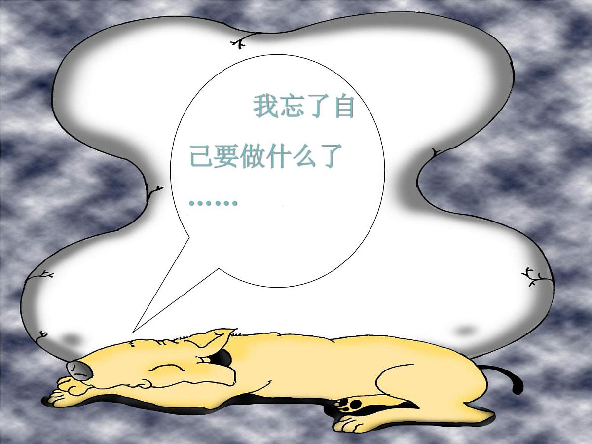 主题班会：高三向目标奔跑第5页
