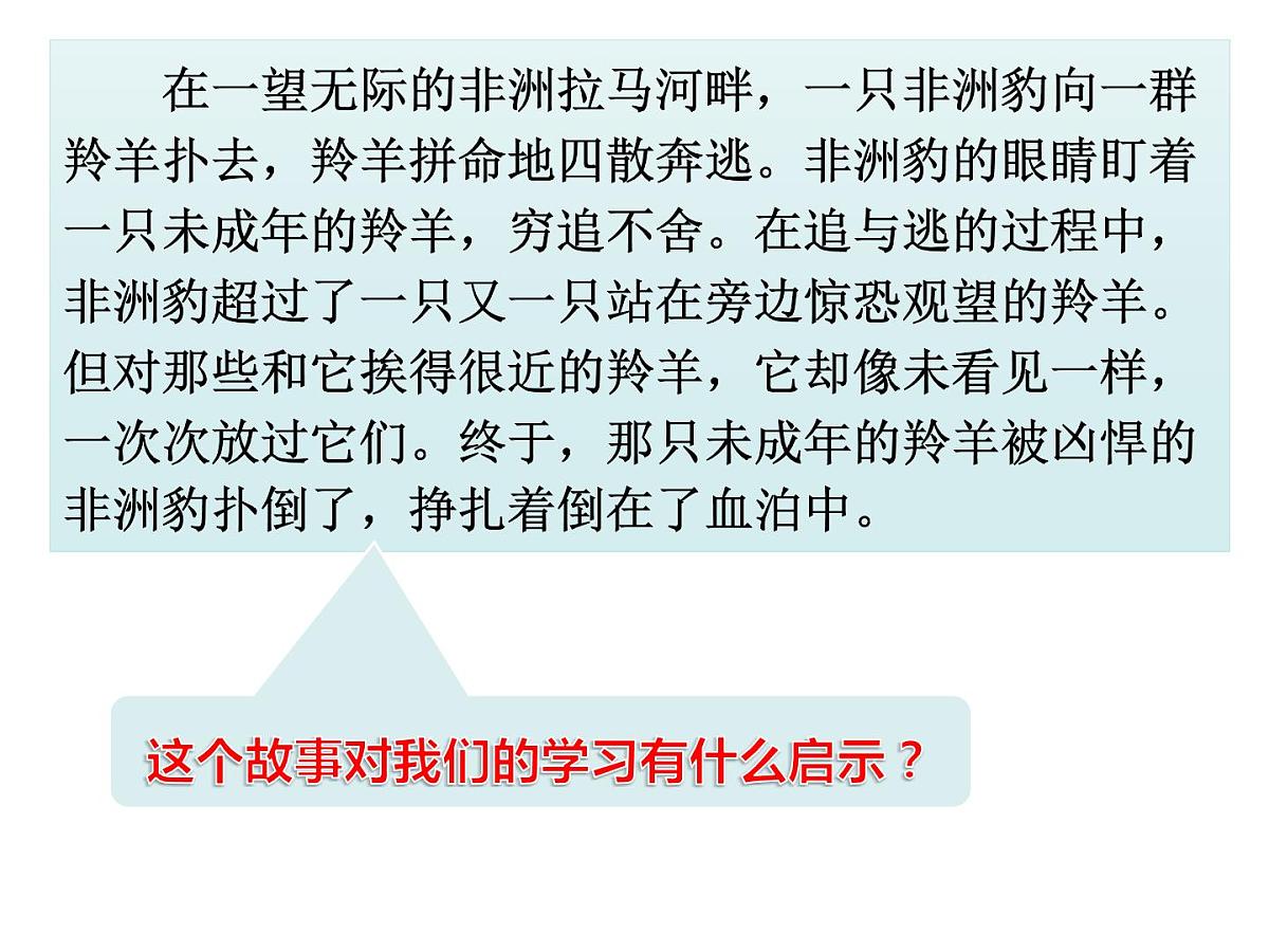 主题班会：高三向目标奔跑第6页