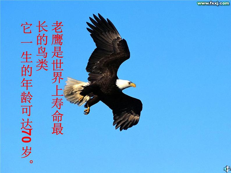 高三主题班会：不屈不挠、团结共赢ppt第6页