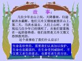 主题班会：珍爱生命PPT