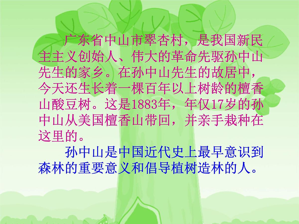 植树节主题班会第3页
