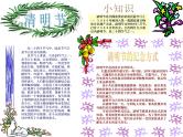 主题班会课件：清明节