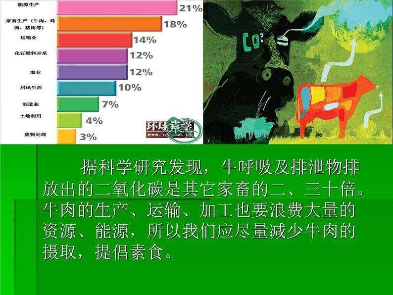 主题班会：改善环境与低碳生活第6页