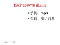 校园新“四害”_网络安全主题班会PPT