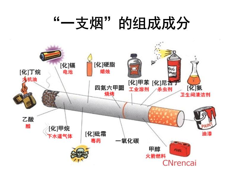 校园禁烟主题班会05