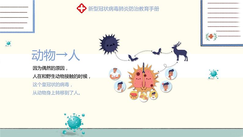 新冠状病毒主题班会PPT课件第6页