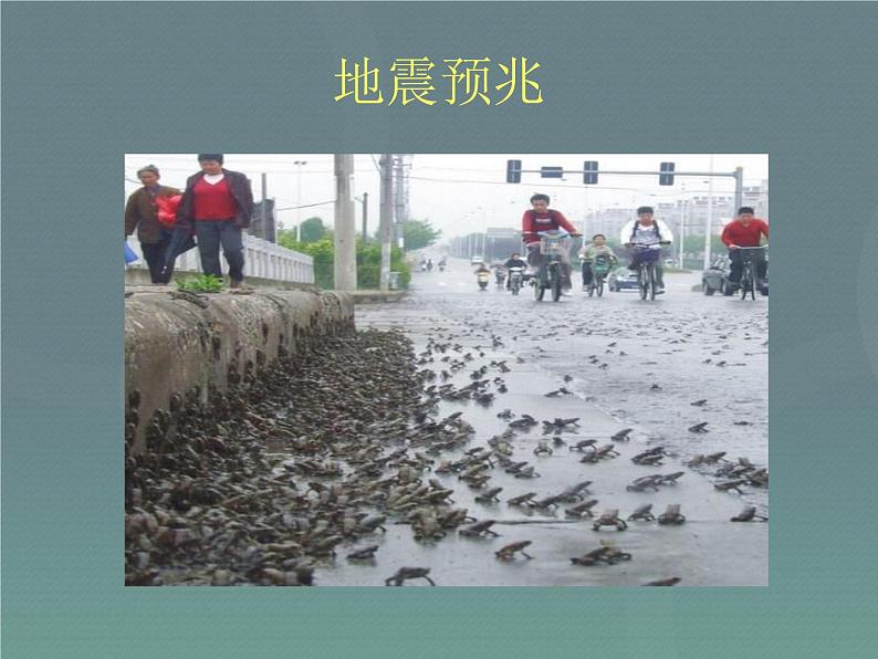 地震来了怎么办_四年级安全教育第6页