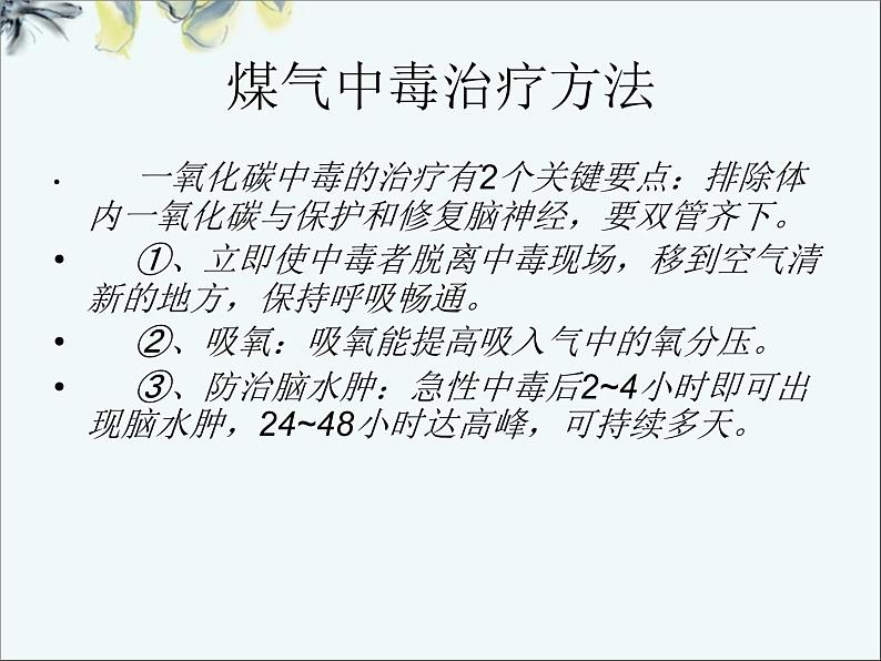 如何预防煤气中毒主题班会ppt06