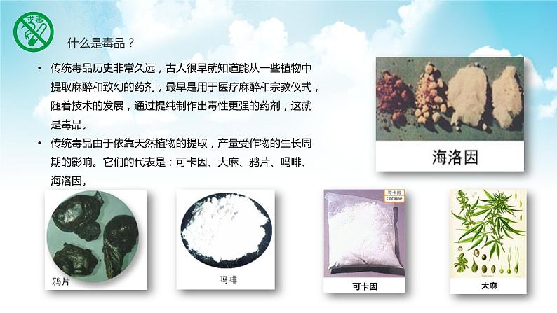 珍爱生命，远离毒品》班会主题课件 (共34张PPT)07