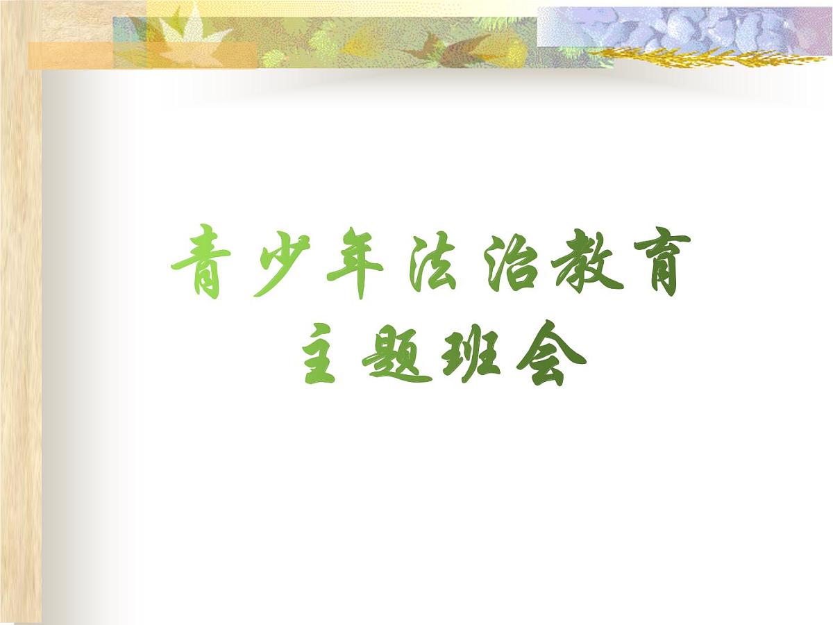 法治教育主题班会第1页