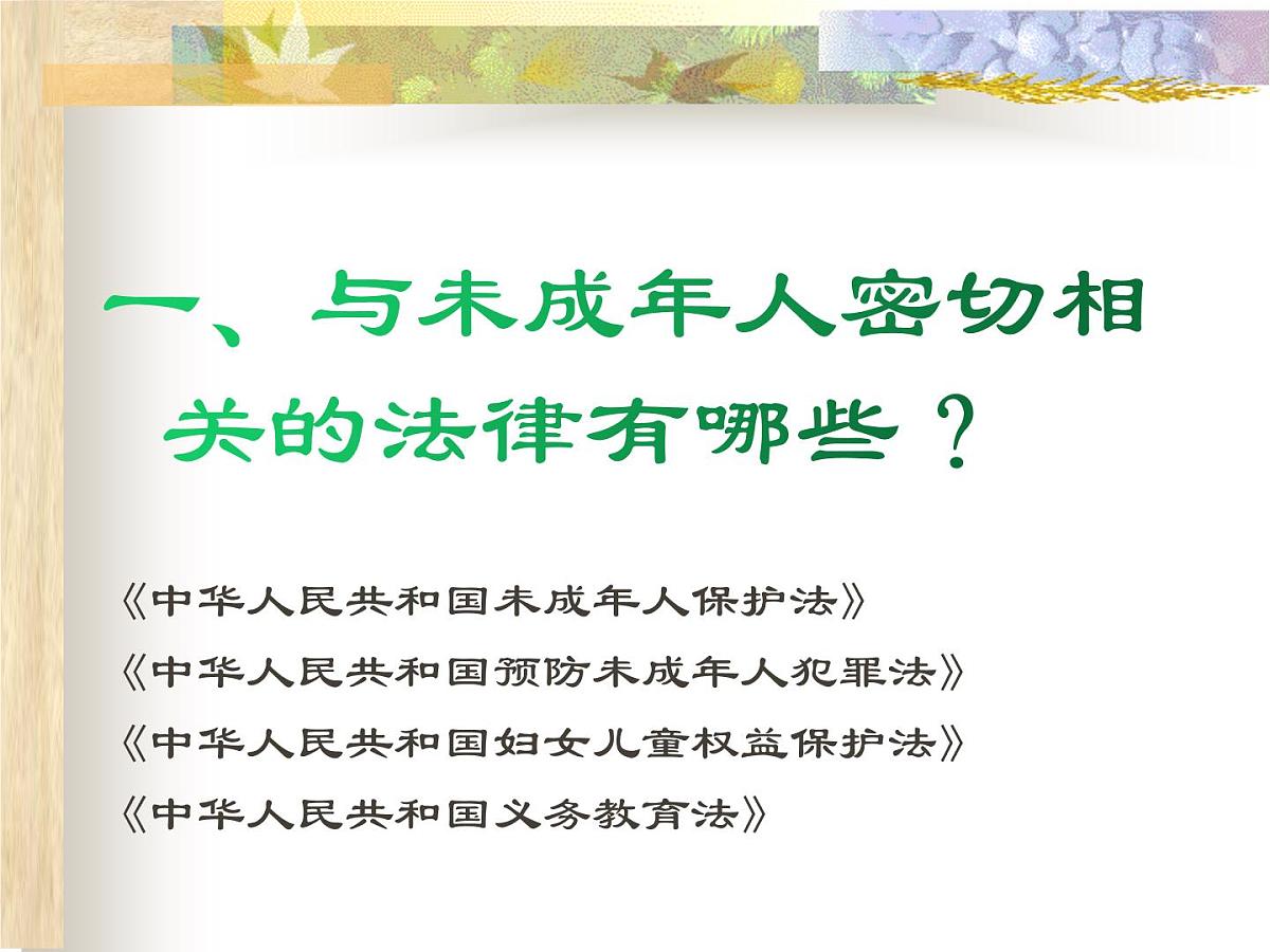 法治教育主题班会第3页