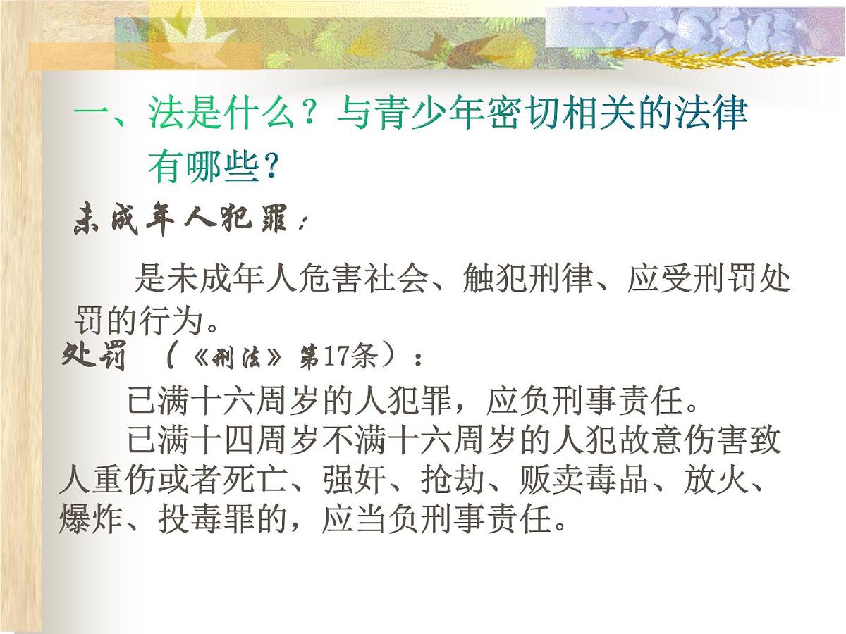 法治教育主题班会第4页