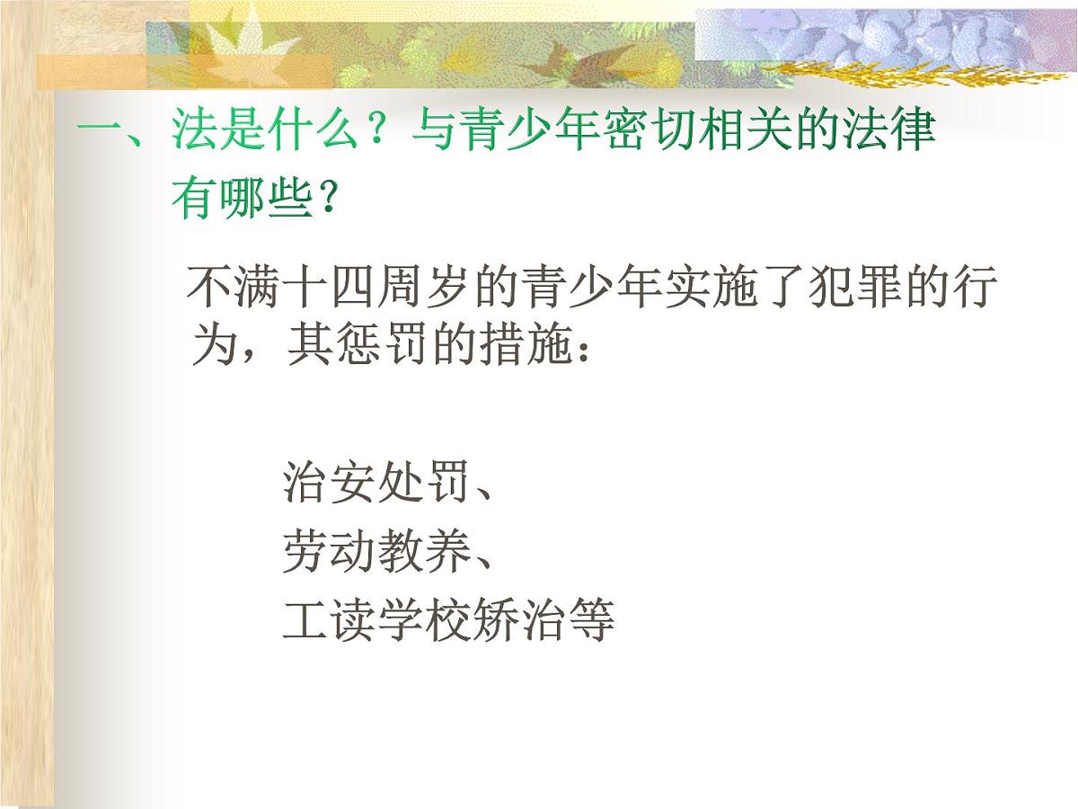 法治教育主题班会第5页