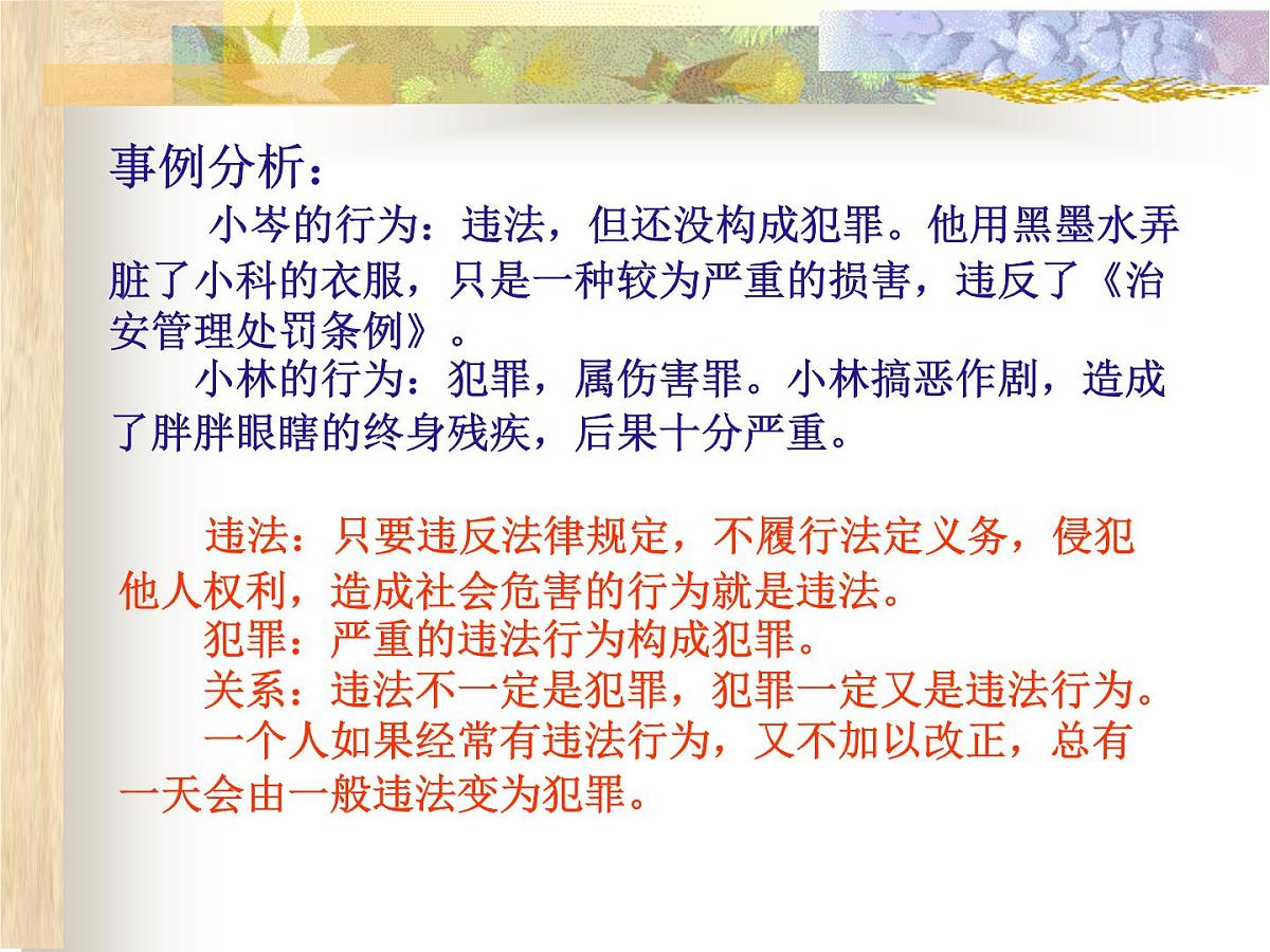 法治教育主题班会第8页