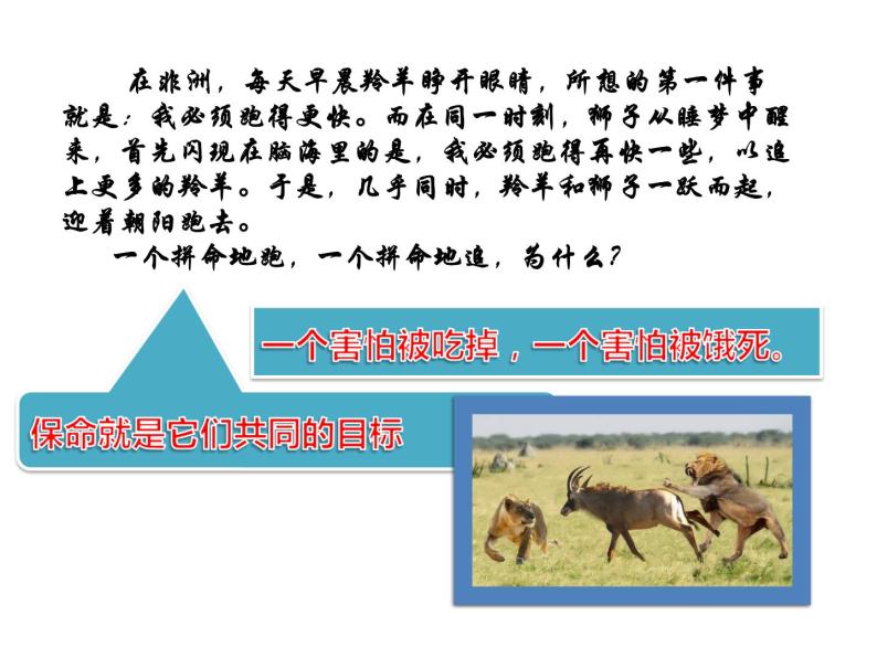 励志主题班会课件.ppt03