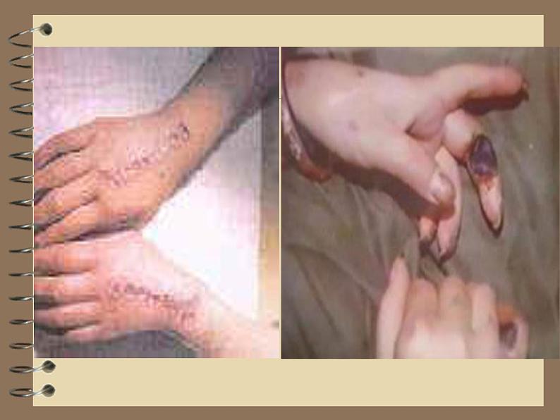 小学生禁毒教育课件_图文第5页