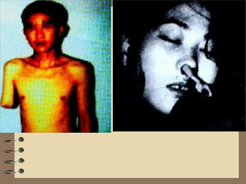 小学生禁毒教育课件_图文第6页