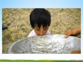 小学主题班会《3月22日世界水日：节约用水主题》教学课件PPT精品课件
