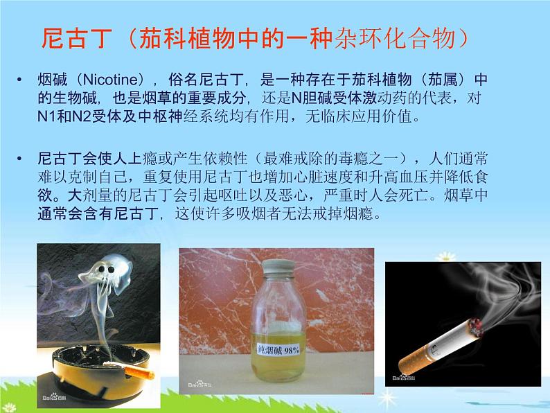 通用版主题班会《世界无烟日-吸烟有害健康》精品教学课件PPT优秀课件05