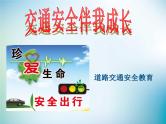 小学主题班会《交通安全教育：道路交通安全》教学课件精品PPT优秀课件