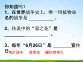 通用版主题班会《国际禁毒日》精品教学课件PPT优秀课件7